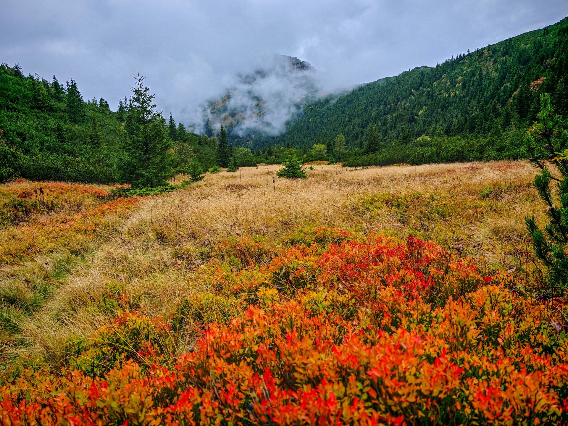 Ochranári varujú pred zonáciou národných parkov. Nové parkoviská či ťažba dreva
