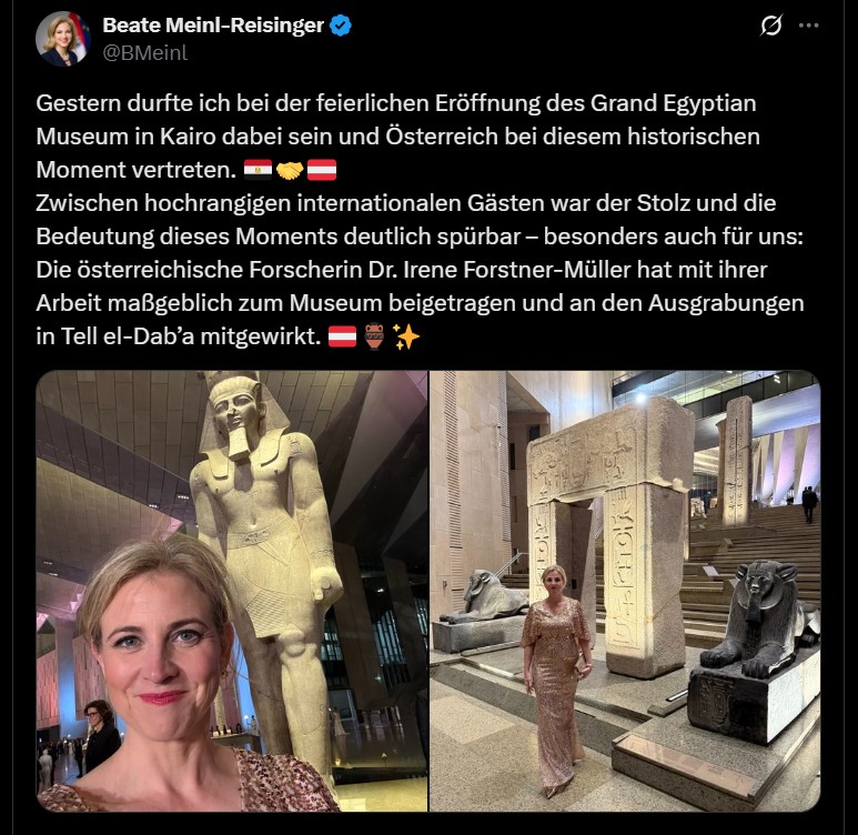 Meinl-Reisinger, Posting