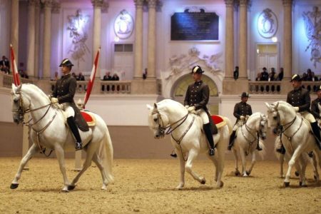 Verdacht der Tierquälerei: Neuer Wirbel an berühmter Wiener Hofreitschule