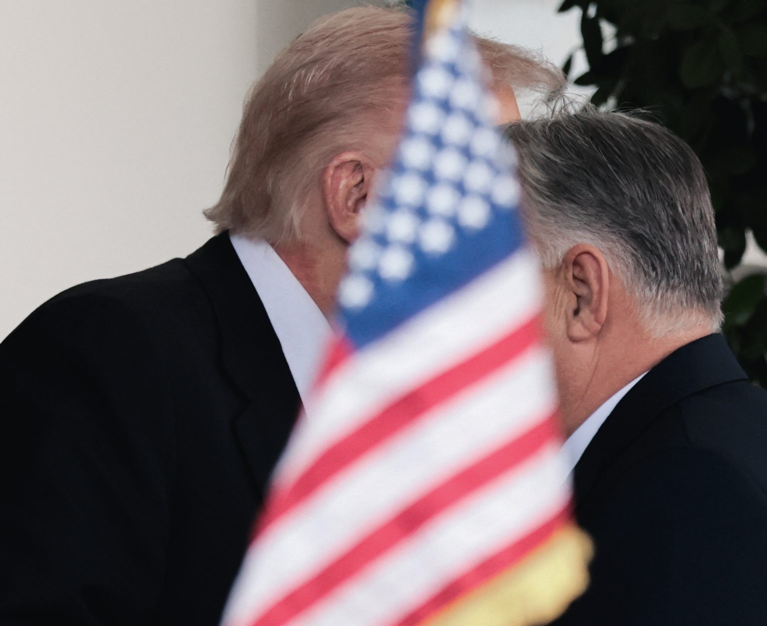 Donald Trump and Viktor Orbán. Photo: Jonathan Ernst/Reuters