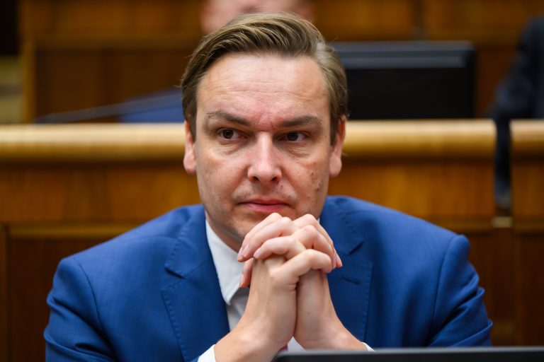 PS: „Horalkový zákon“ kriminalitu nezastaví, vláda len predstiera riešenie