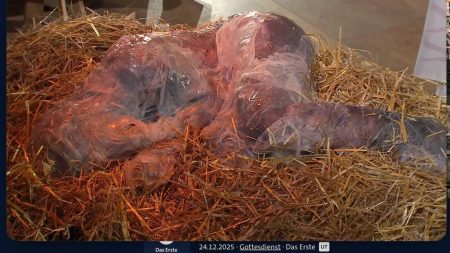 "Stuttgart's 'slimy Jesus' outrages believers and politicians alike