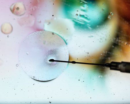 Revolúcia v rodinnom práve: nové pravidlá pre otcovstvo, asistovanú reprodukciu aj výživné