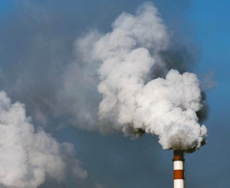 Foto: China Photos/Getty Images