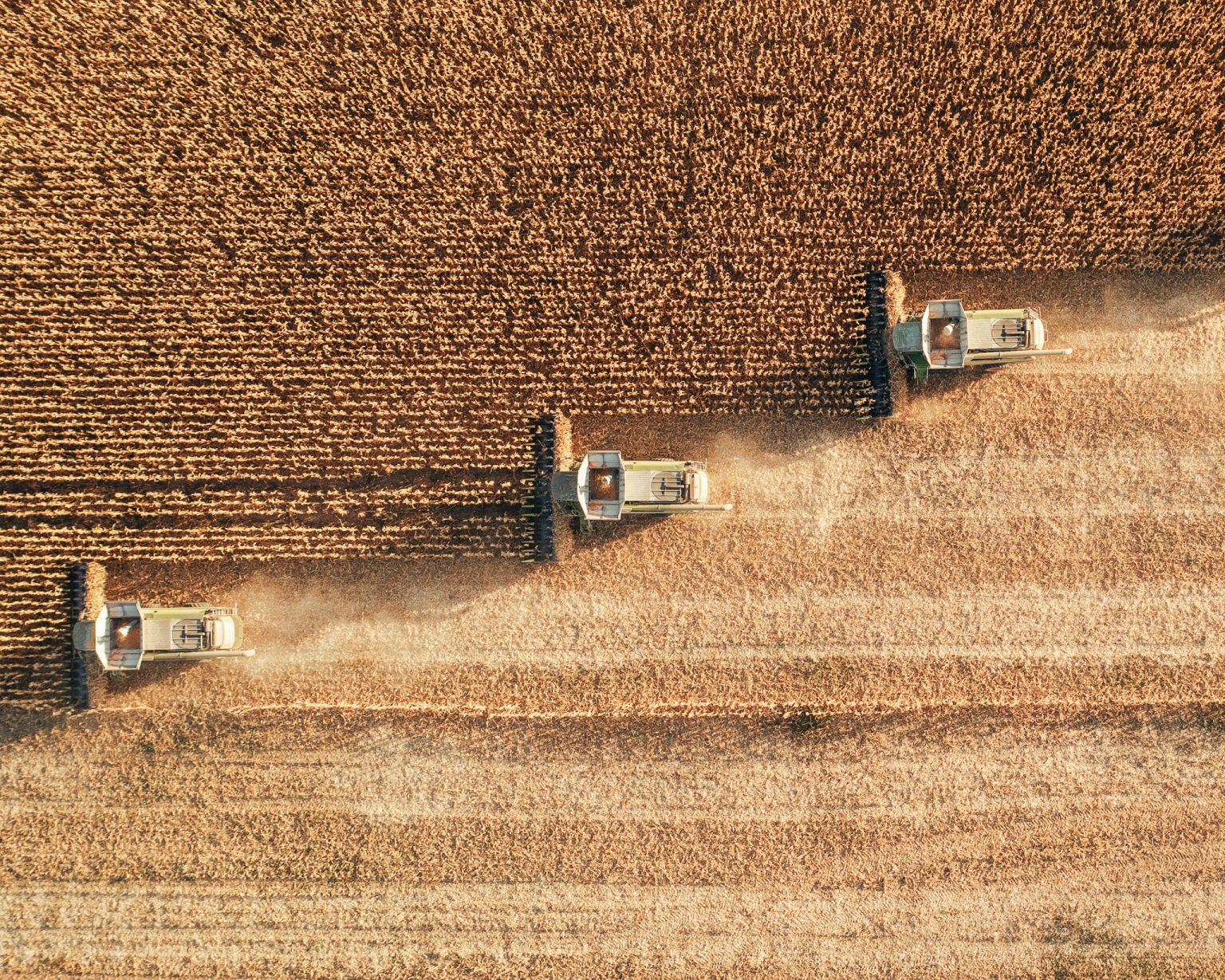 Ilustračná fotografia. Foto: ArtistGNDphotography/Getty Images