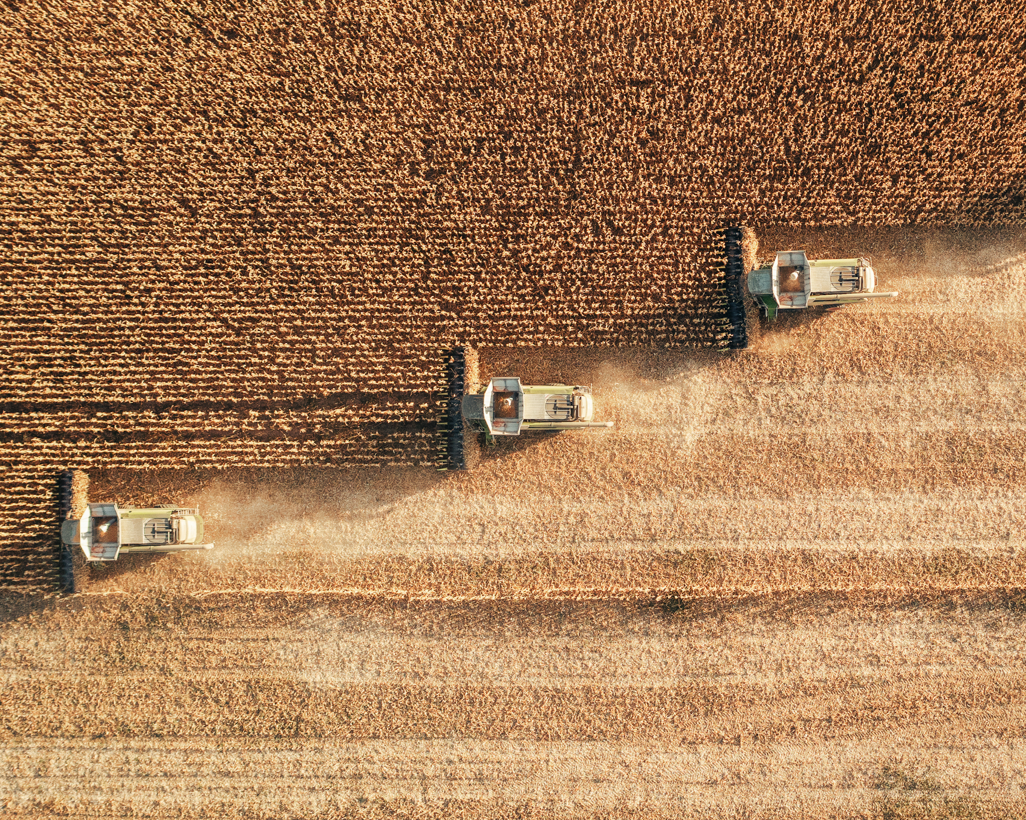 Poľnohospodári v regiónoch hodnotia rok 2025. Úroda pomohla, istoty však ubúdajú