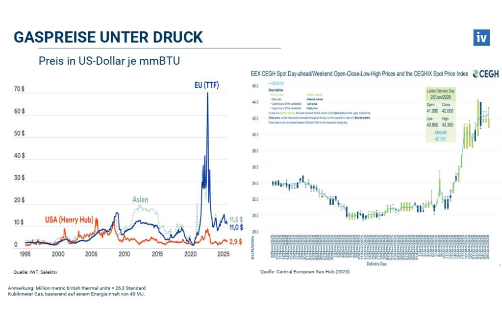 Gaspreise, die Entwicklung Grafik IV
