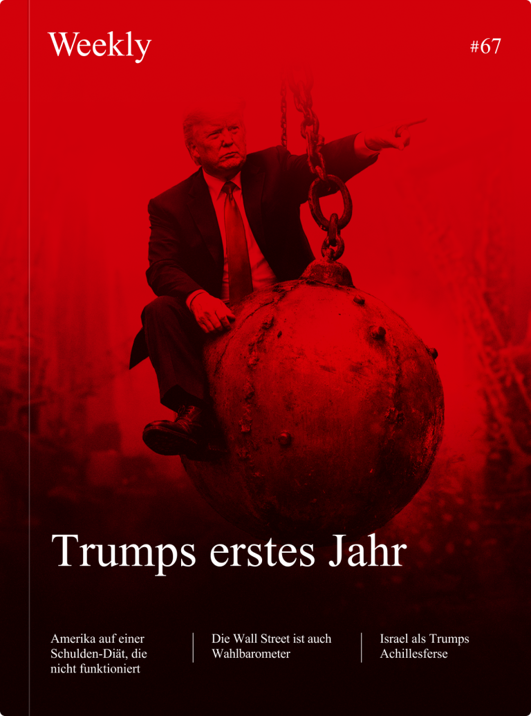 Trumps erstes Jahr
