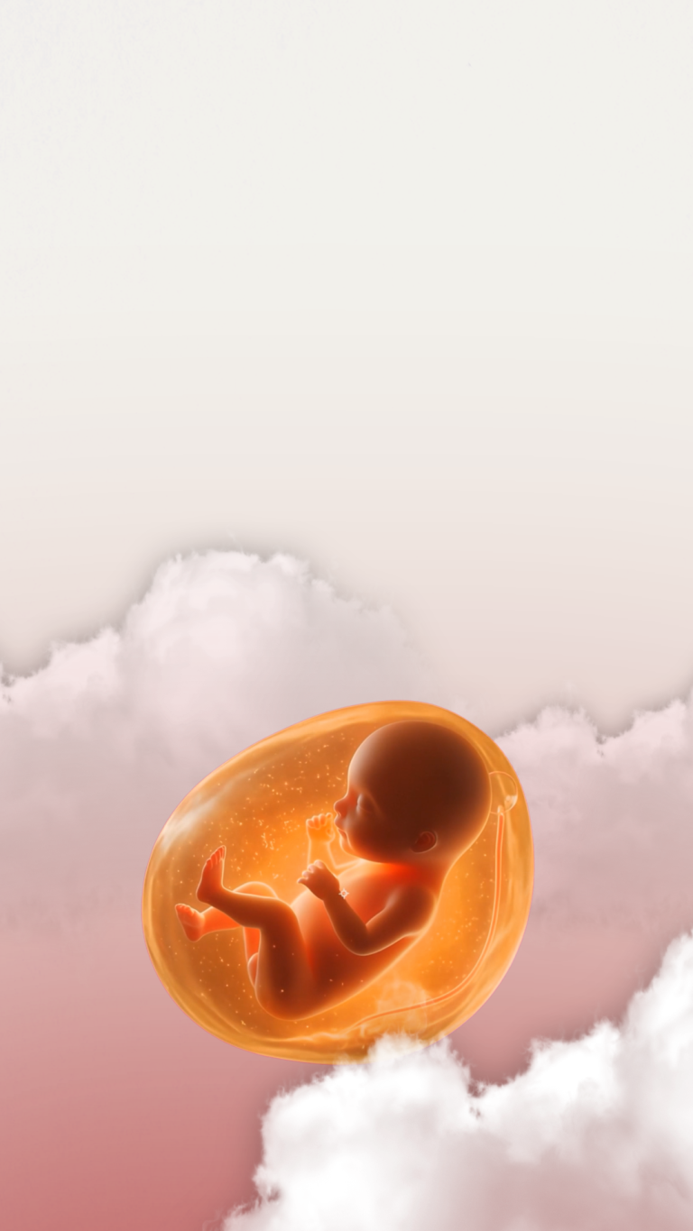 The European Parliament has opened the door to abortion tourism