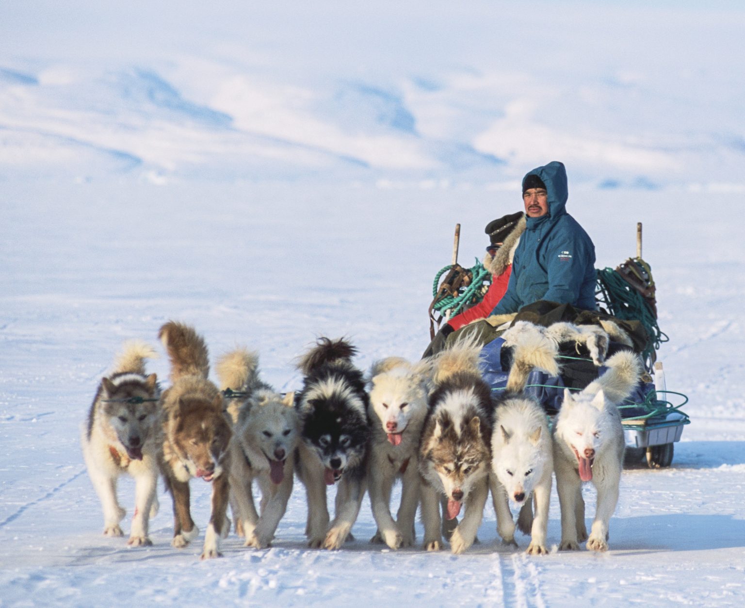 Inuit Hunter with Dogsled. Photo: Getty Images / Layne Kennedy