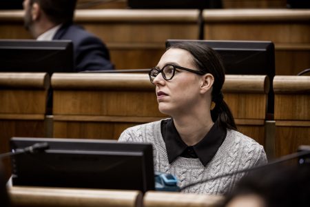 PS upozorňuje na podozrenia pri dotáciách na vodné plochy