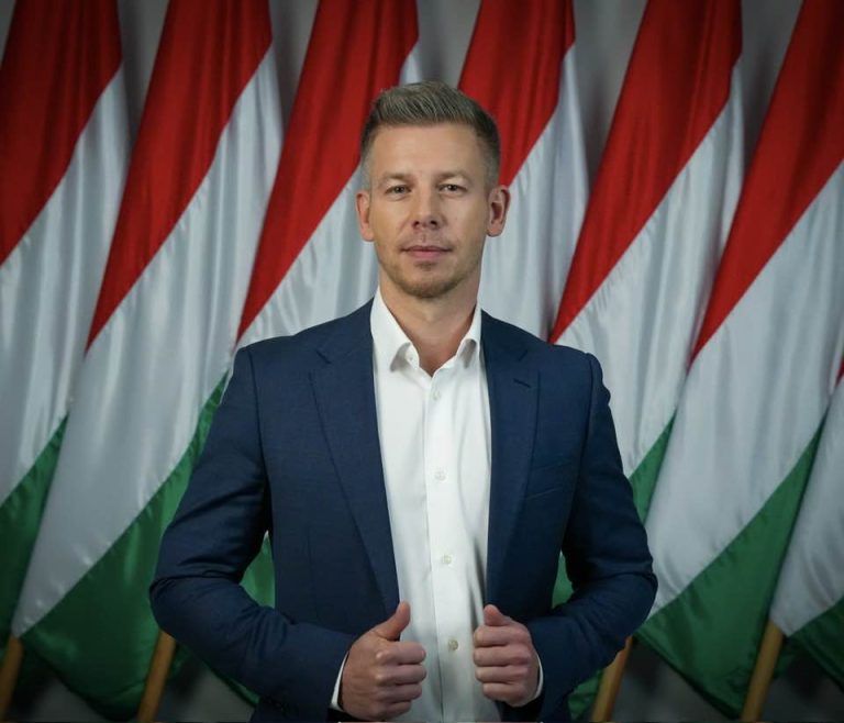 Program maďarskej Tiszy počíta s eurom i daňou pre majetných