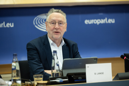 German MEP wants to postpone vote on agreement with the US