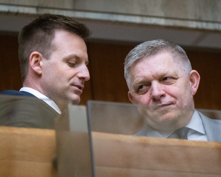 Gedra predstavil plán vlády na kontrolu mimovládnych organizácií