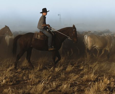 After Mercosur, another dispute arises: Australian meat divides the European Union