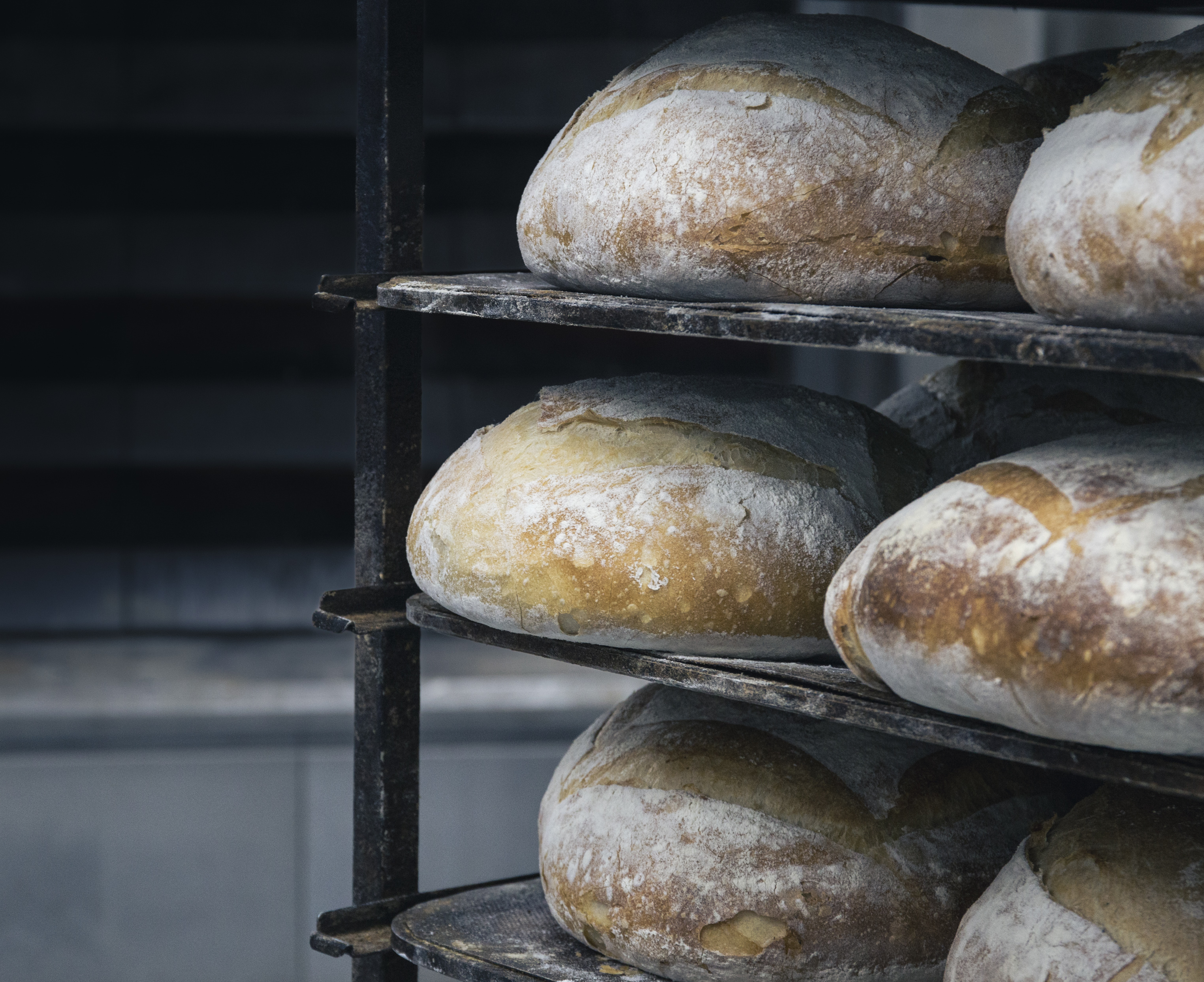 Zdražovanie zasiahlo základné potreby. Bývanie a chlieb stoja viac