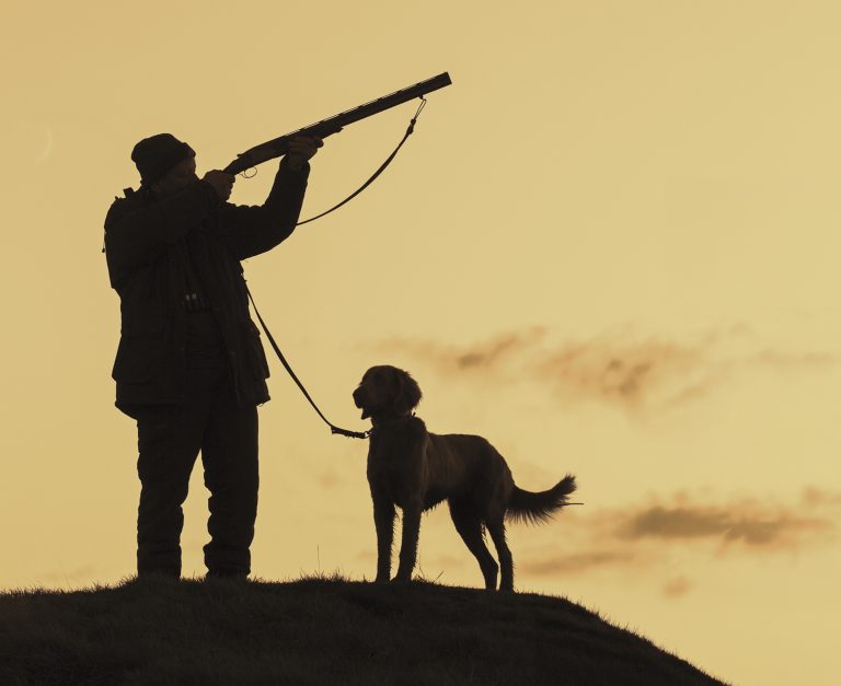 Jäger gerieten wegen ihrer AfD-Mitgliedschaft ins Visier der Behörden. Foto: Arterra/Sven-Erik Arndt/Universal Images Group via Getty Images
