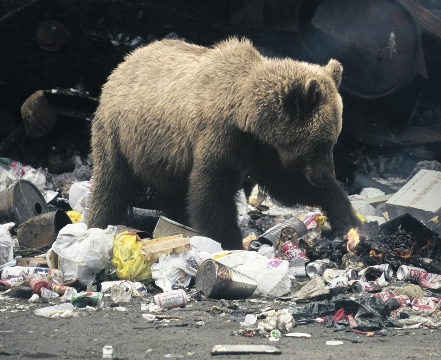 Ilustračná fotografia. Foto: Dieter Hopf / Getty Images