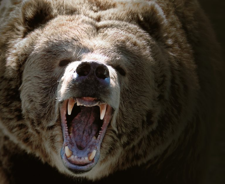 Ilustračná foto. Foto: Grant Faint / Getty Images