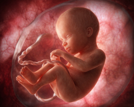 Grandmother leads abortion petition in California