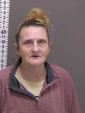 AI misidentification puts innocent woman behind bars