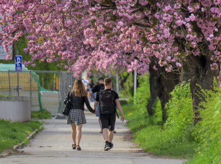 Rebríčku šťastia vládnu severania, Slovensko je z V4 druhé najhoršie