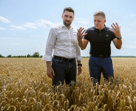 Vlaňajšia úroda odhalila paradox slovenského agra