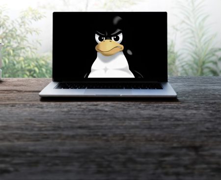 The Linux community clashes with new state rules