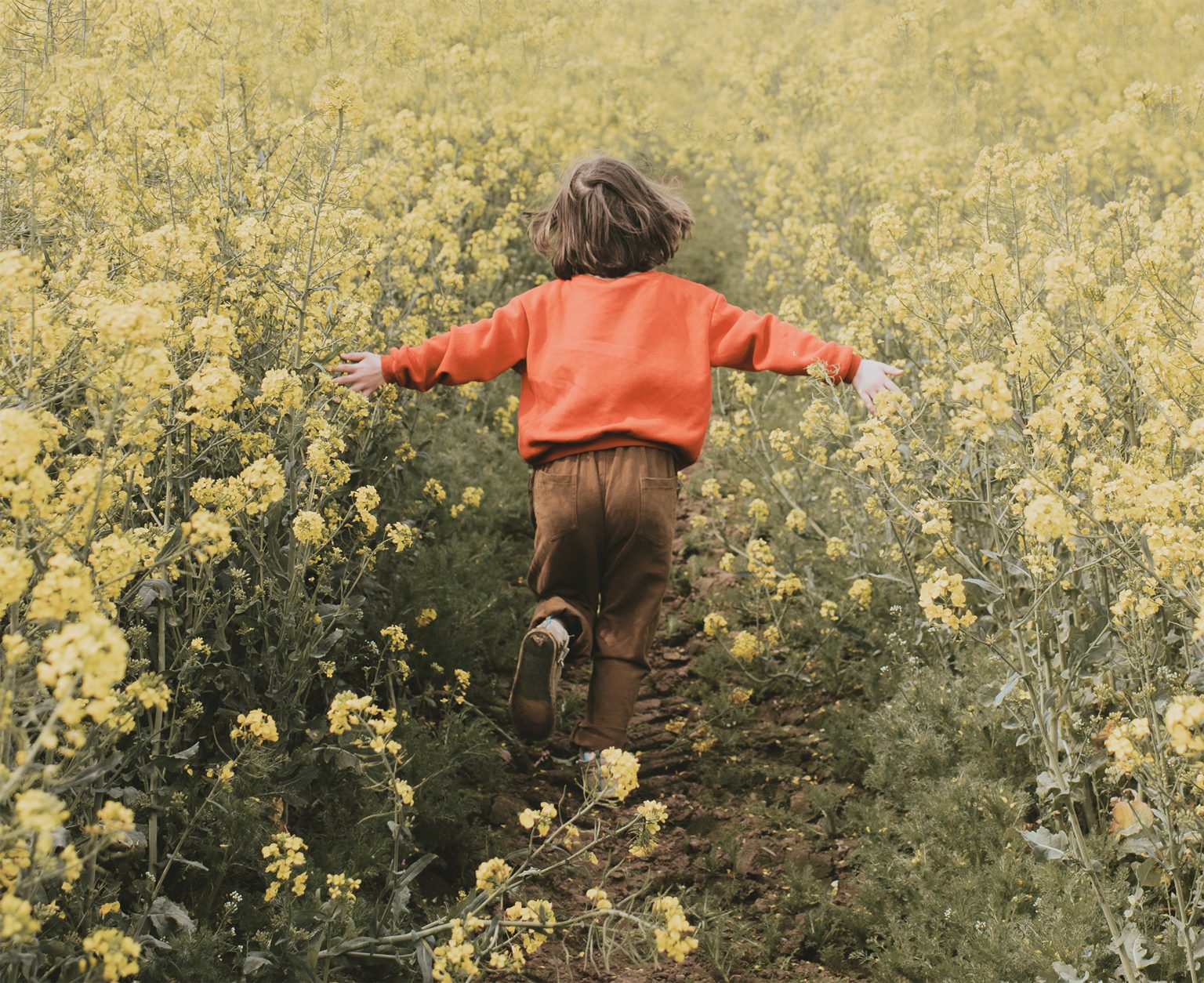 Good times ahead – new personalised vaccines aim to train the immune system to recognise and attack the genetic mutations driving an individual patient’s tumour. Photo: Catherine Falls Commercial/Getty Images