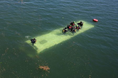 Bus Plunges into the Seine near Paris After Accident