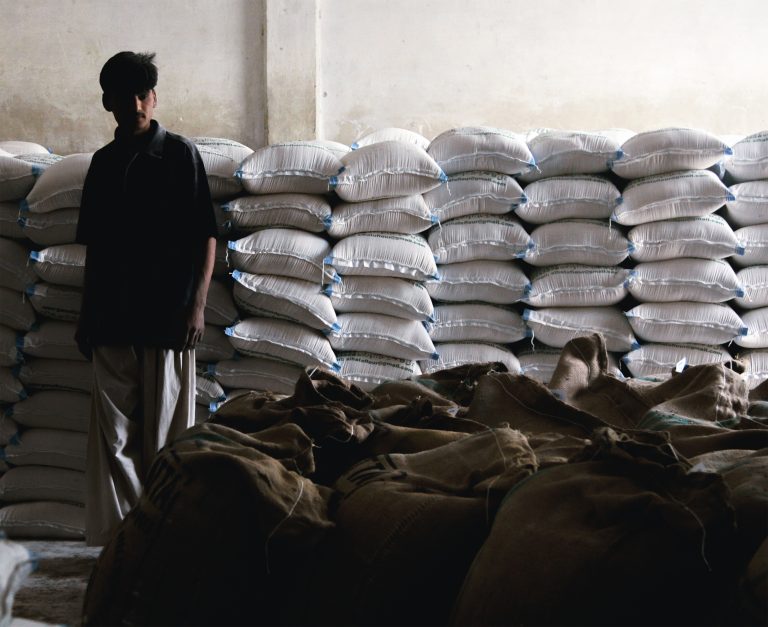 Iran War and El Niño Threaten Rice Supplies