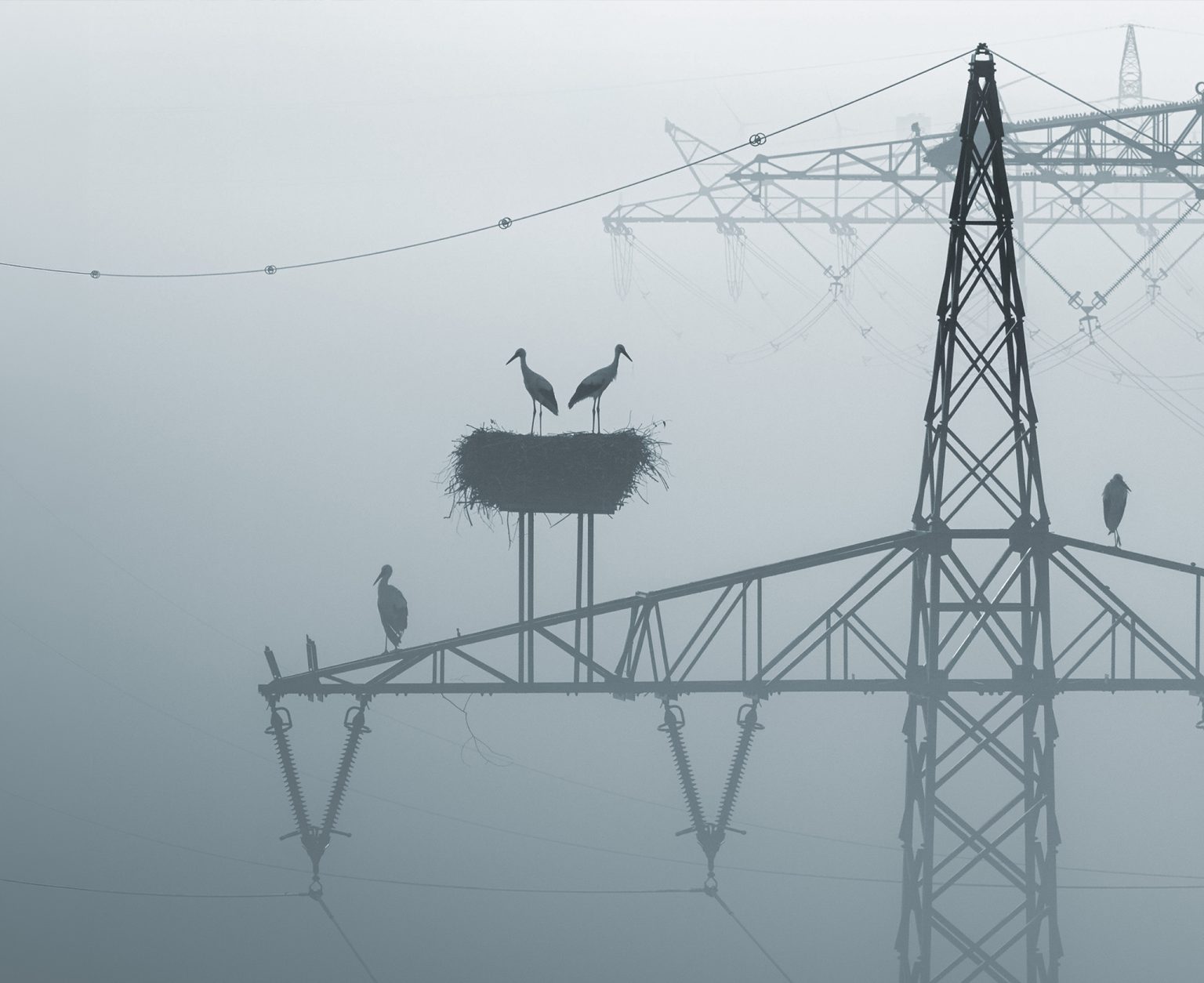 Germany, Bulgaria and Slovenia cut industrial electricity prices, with Austria considering similar temporary measures. Photo: Sina Schuldt/picture alliance via Getty Images