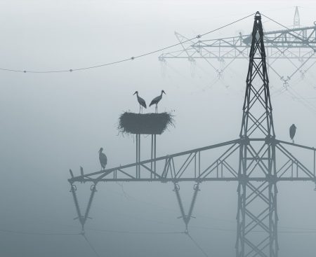 Cheap Electricity for Industry – Europe’s Costly Stopgap