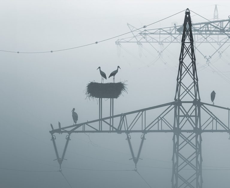 Foto: Sina Schuldt/picture alliance via Getty Images