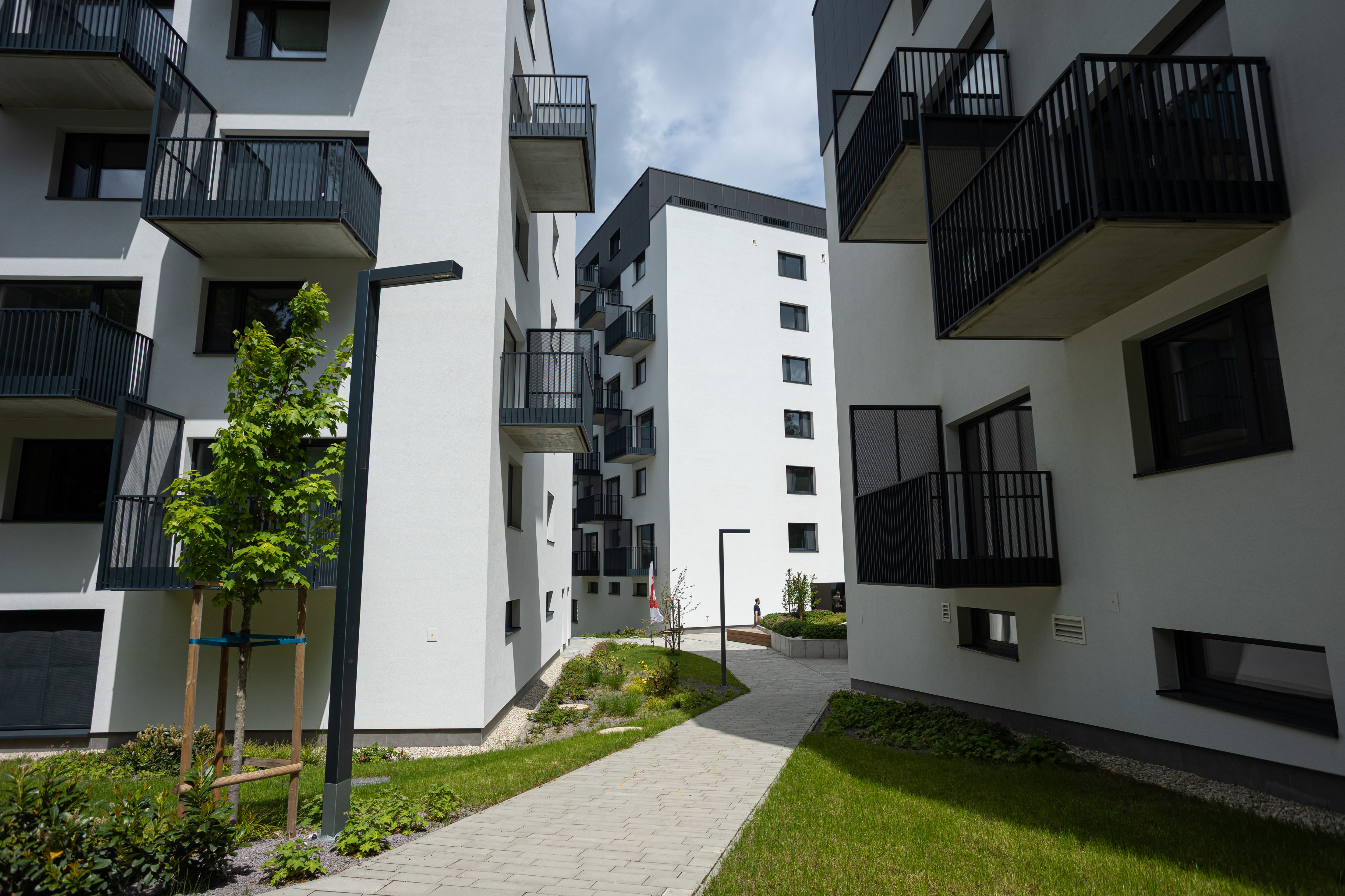 How Cheap Money Made Homes Unaffordable