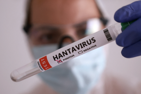 Illustrative photo of test tubes labeled "hantavirus".