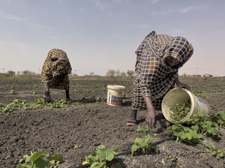Rising fertilizer prices are increasing pressure on global food production. Photo: El Tayeb Siddig/Reuters