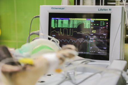 Illustrative photo of an ECG.