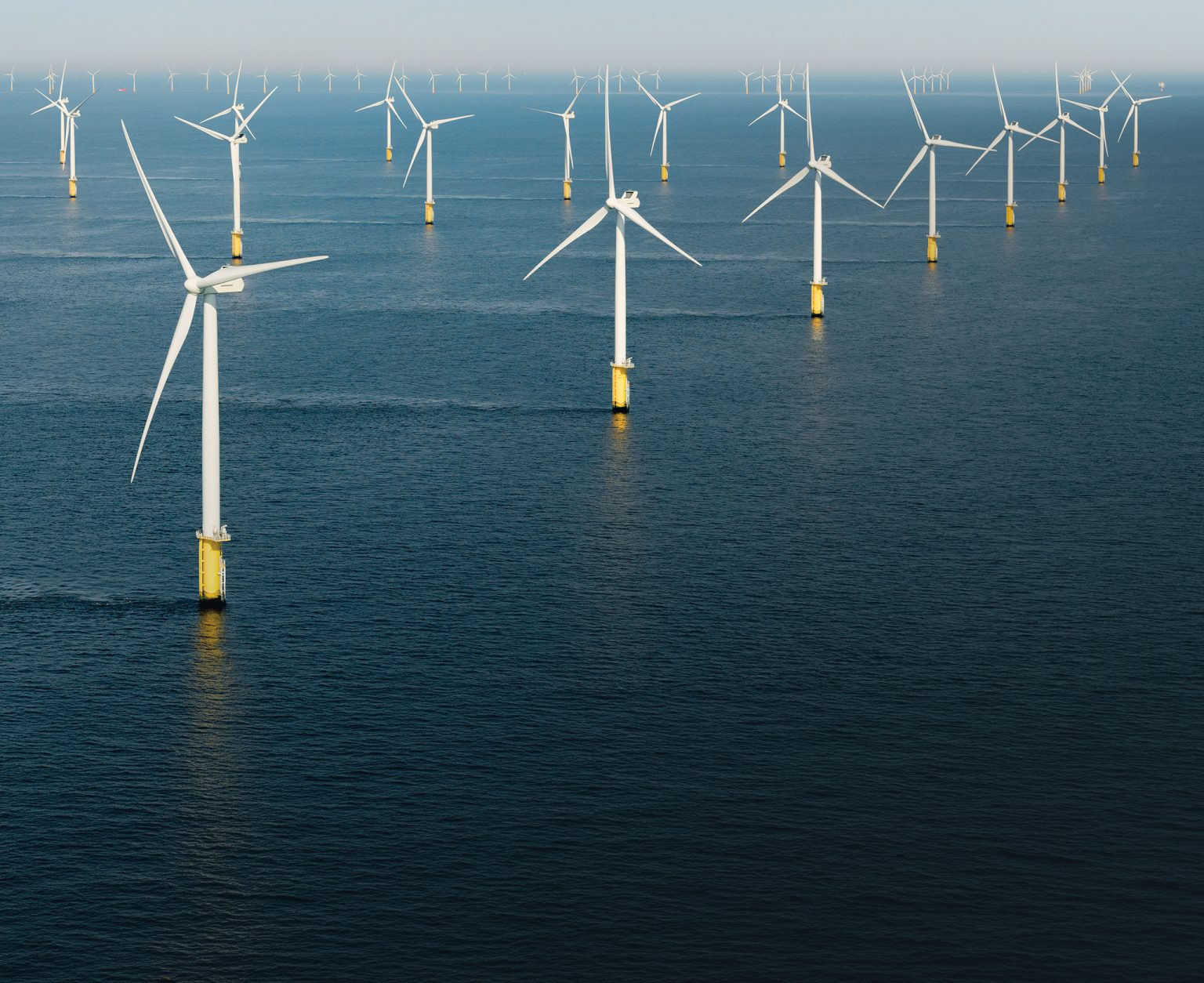 Two companies withdrew from offshore wind farm expansion.