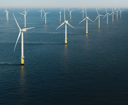 Two companies withdrew from wind farm expansion.