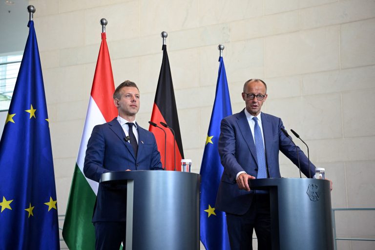Friedrich Merz and Péter Magyar.