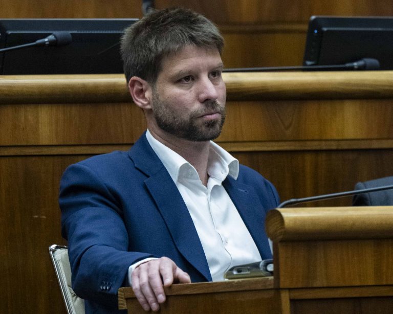 Michal Šimečka.