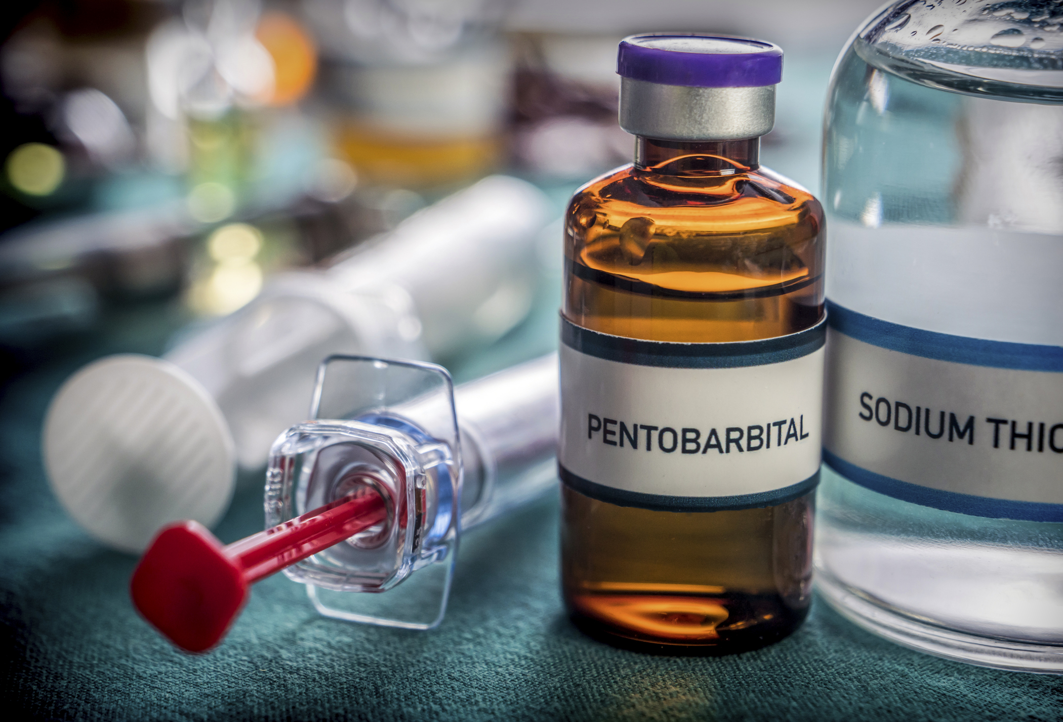 French Parliament Approves One of the World’s Most Permissive Euthanasia Laws