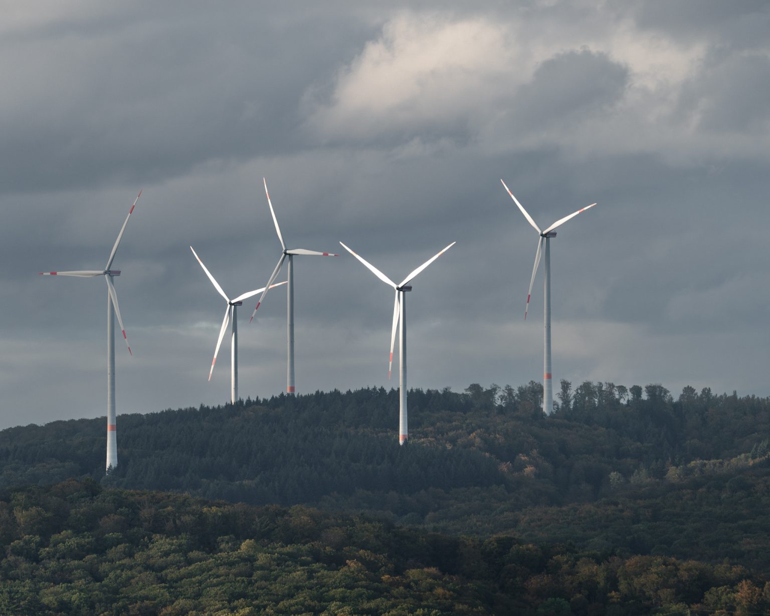 Wind turbines in a field.