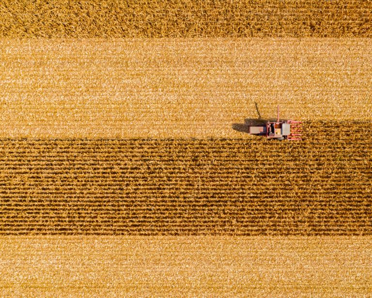 EÚ mení pravidlá pre GMO. Čo to znamená pre budúcnosť potravín?