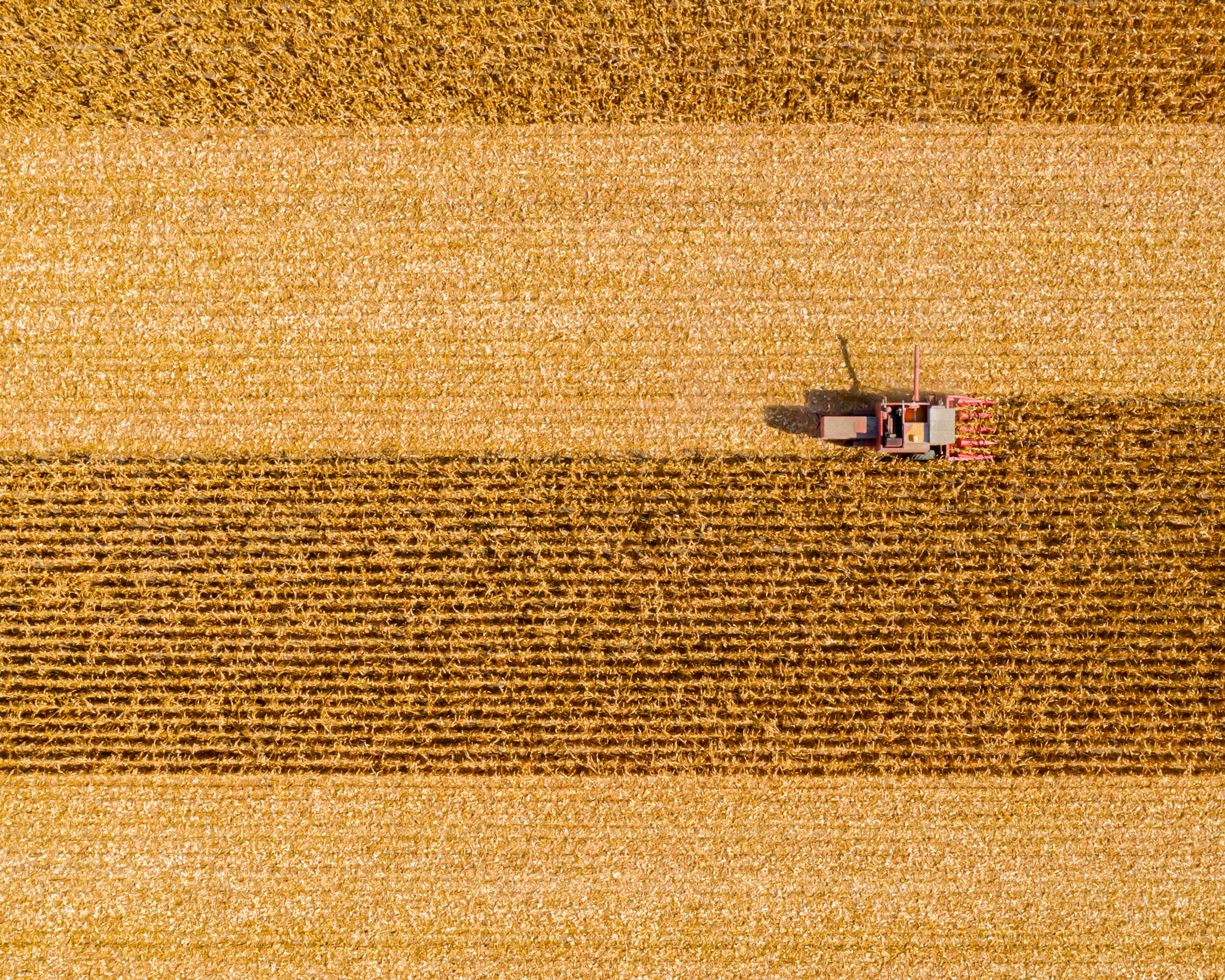 EÚ mení pravidlá pre GMO. Čo to znamená pre budúcnosť potravín?