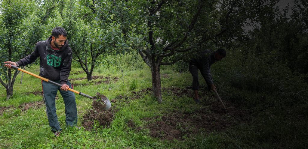 Pakistan’s Mafia Moves into Italy’s Fields