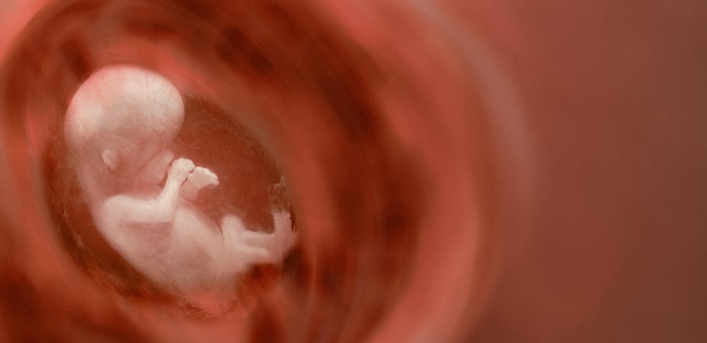 Catholic Women Turn Against the Unborn