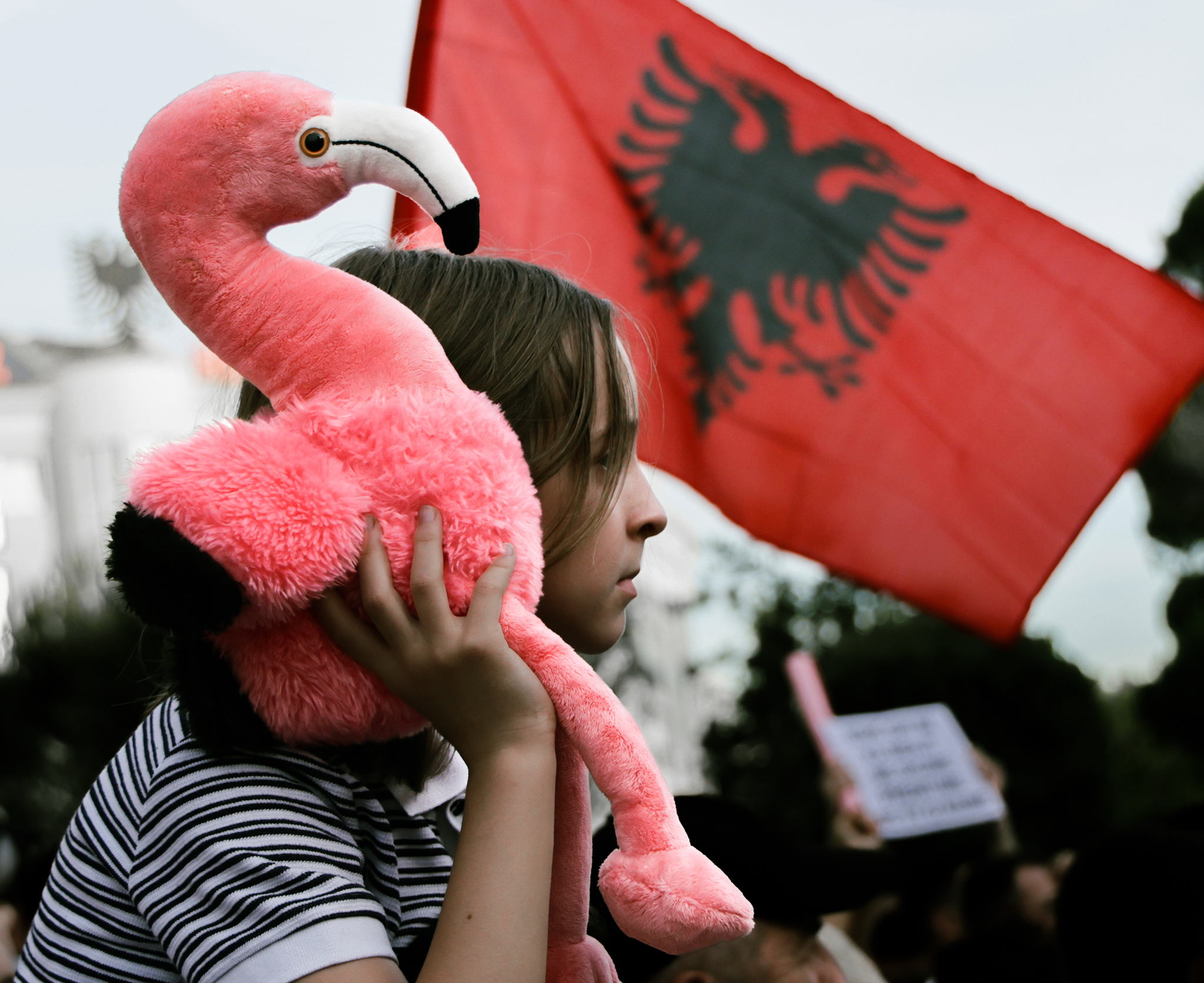 Kushner’s Albanian Resort Faces a Flamingo Revolt With a Darker Edge