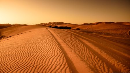 Desert.